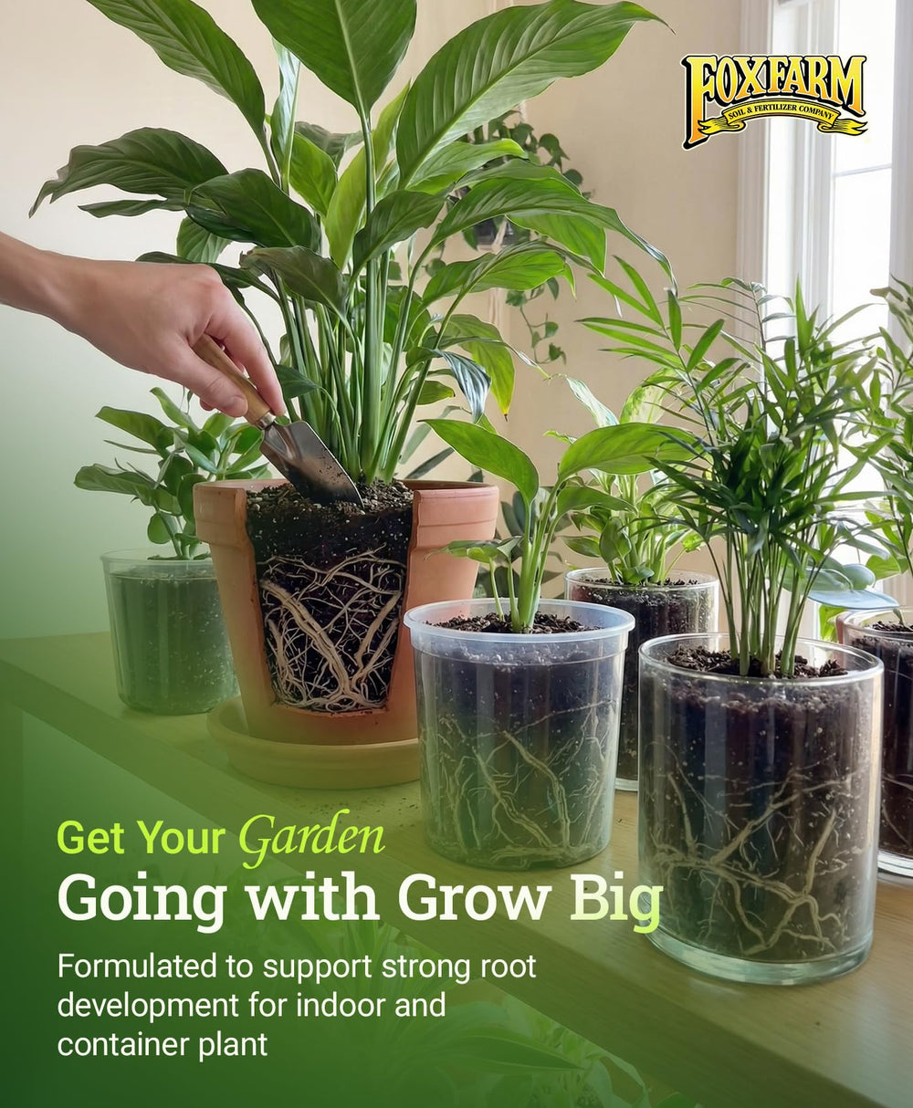Plantas de jardín tratadas con FoxFarm Grow Big mostrando vigor en tomates y rosas
