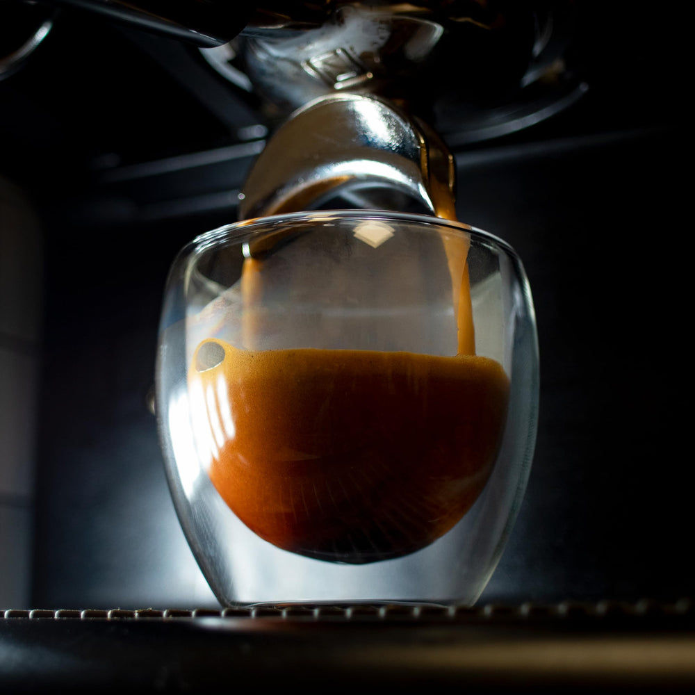 Fresh Roasted Coffee posos de café listos para compostaje doméstico