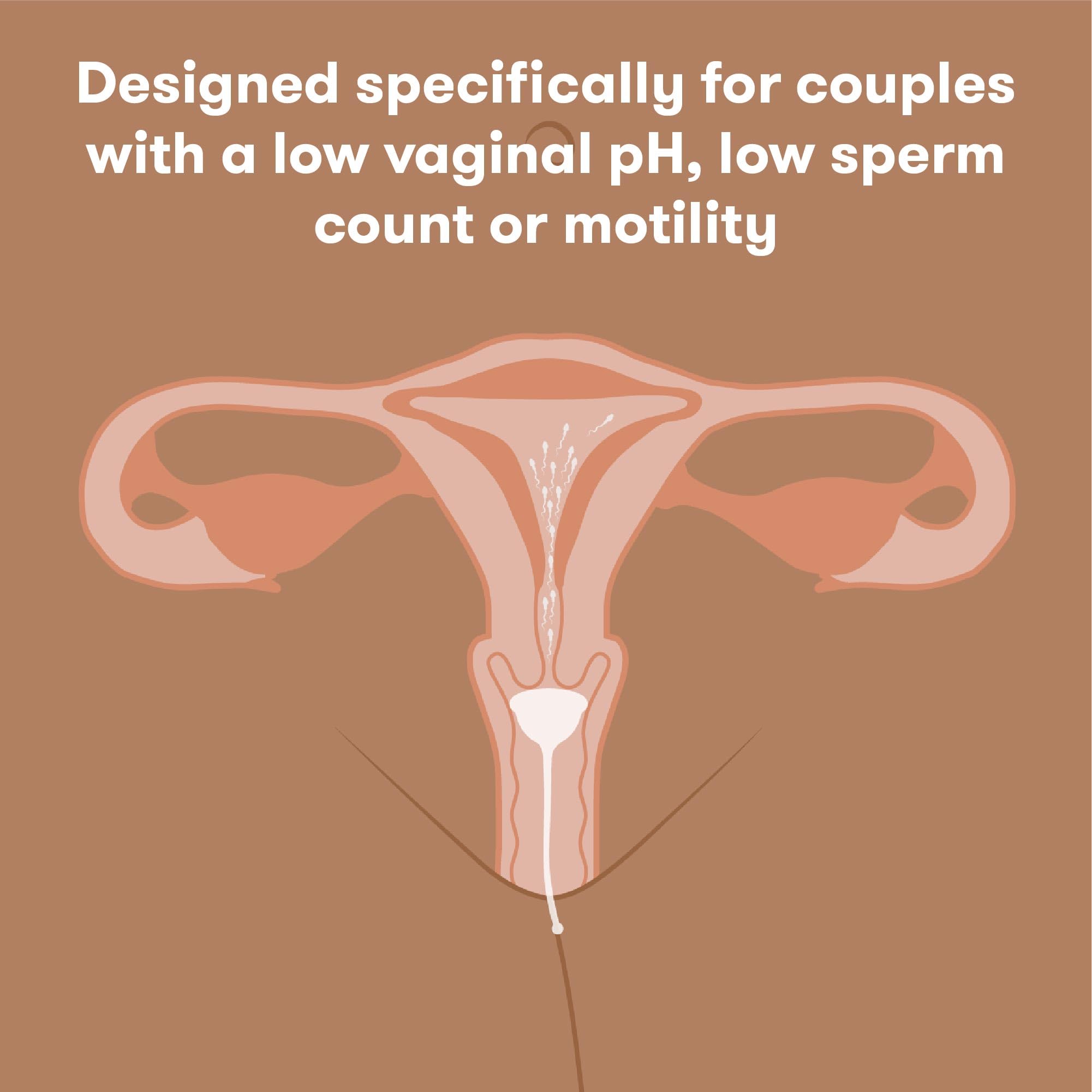Frida Fertility copa junto a regla para comparar tamaño práctico