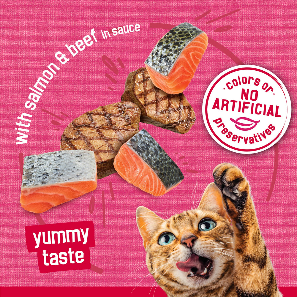 Friskies lata junto a regla para comparar tamaño y porción práctica