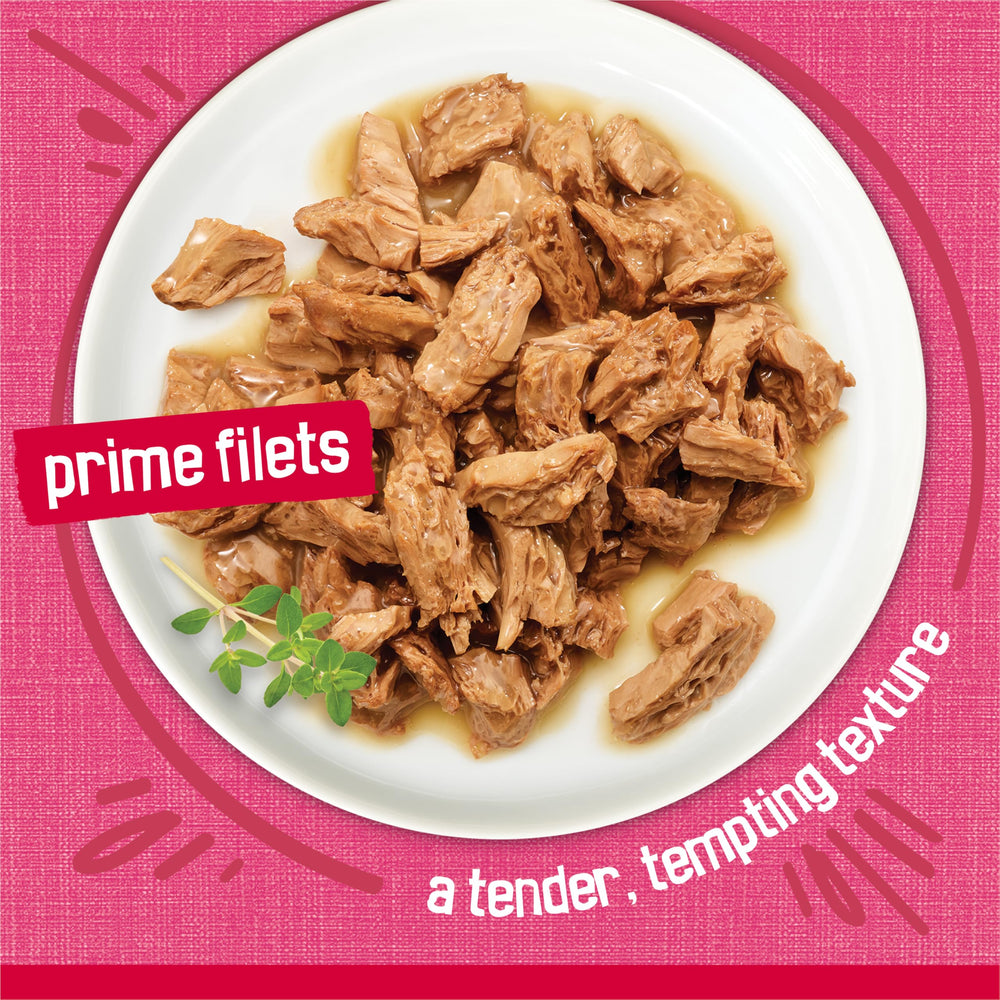 Friskies comida en plato lista para servir para mayor hidratación