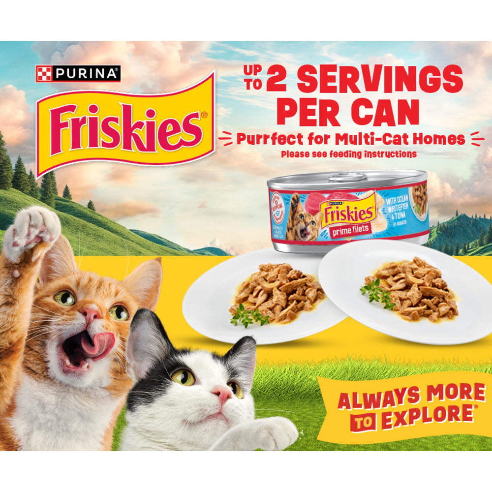 Friskies estilo de vida gato comiendo del plato disfrutando la comida