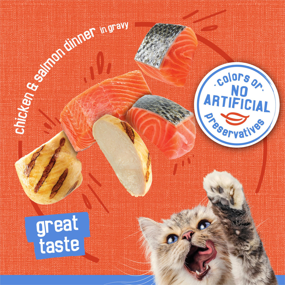 Purina Friskies etiqueta nutricional visible, asegura información completa y equilibrada
