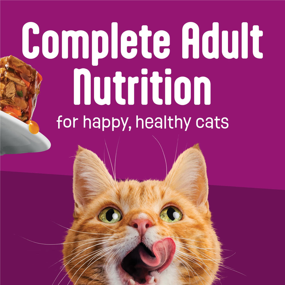 Friskies etiqueta de ingredientes destacando proteína de pollo
