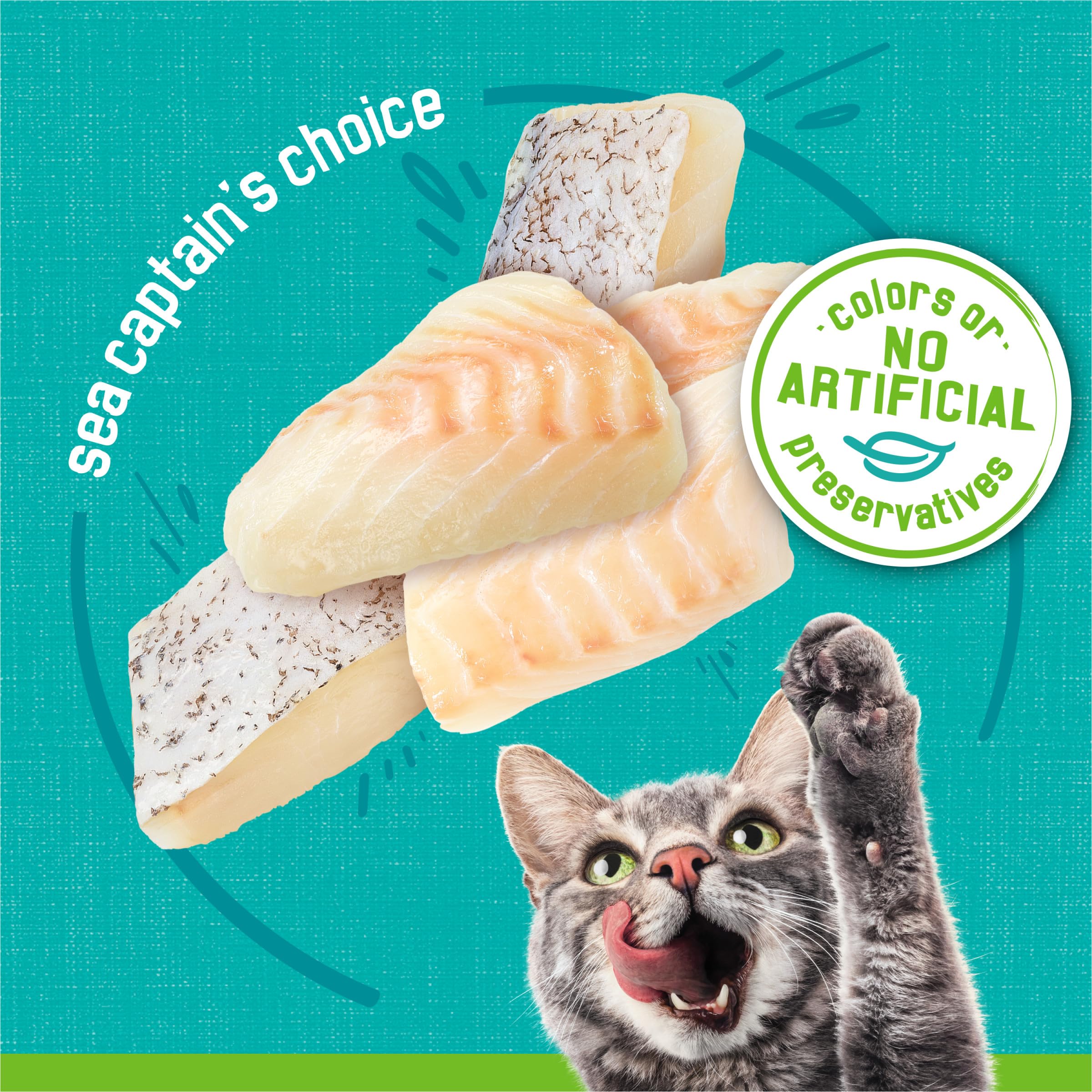 Friskies lata abierta y porción en plato, muestra apetitoso aspecto marino
