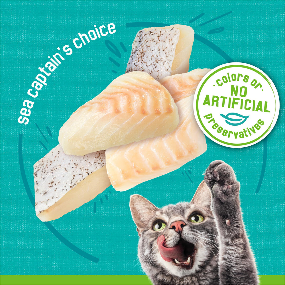 Friskies lata abierta y porción en plato, muestra apetitoso aspecto marino