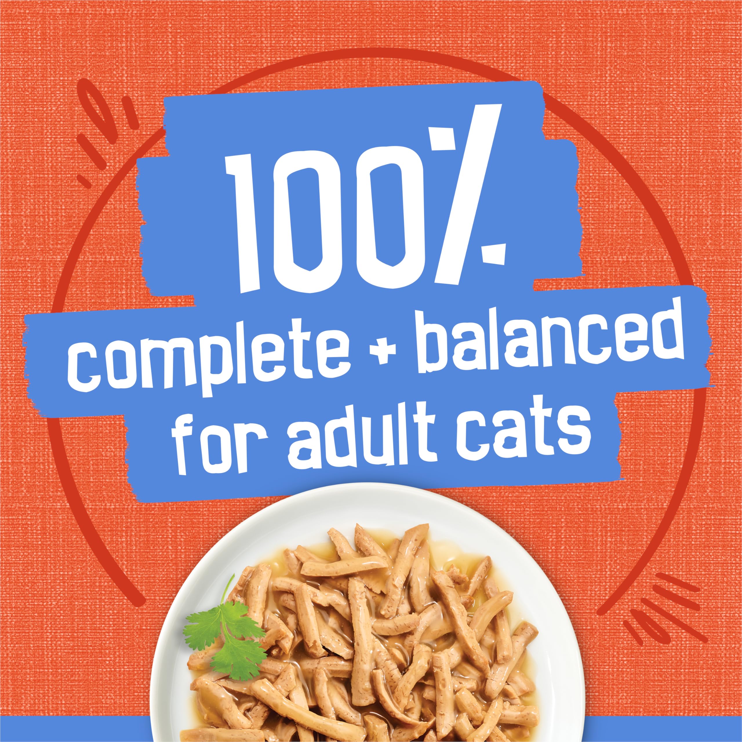 Purina Friskies lata en mano sobre fondo neutro, destaca envase reciclable