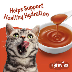Friskies gravy vertido sobre croquetas, mejora la palatabilidad del alimento