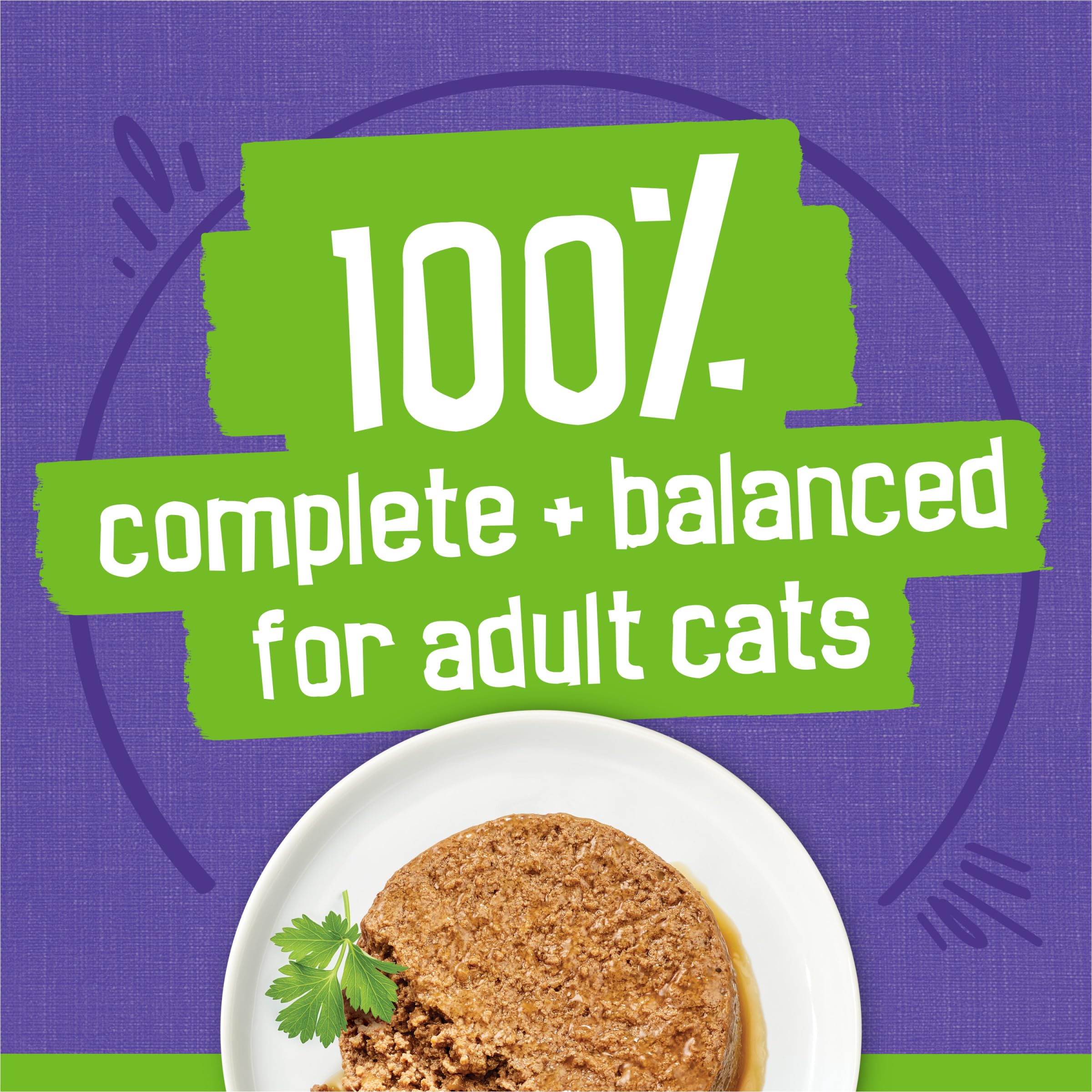Friskies paté servido en plato para facilitar la porción diaria