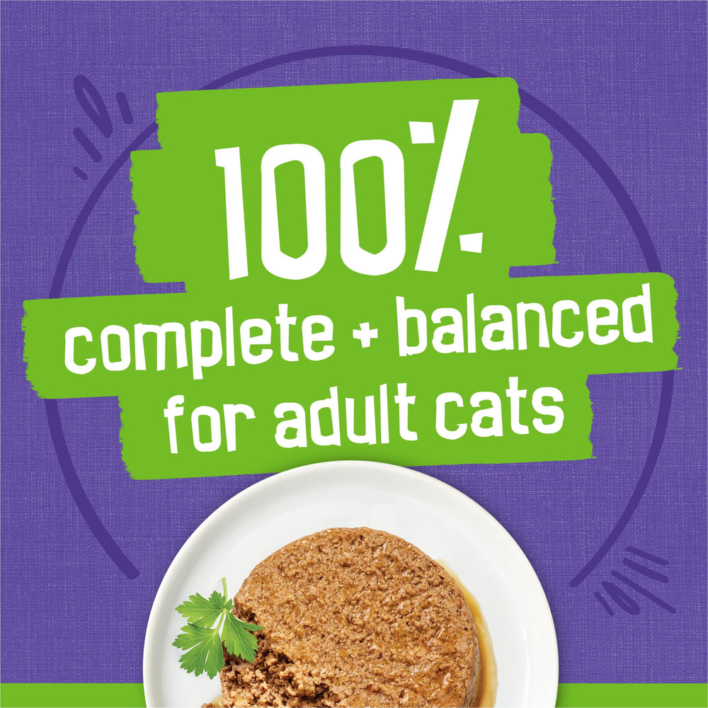 Friskies paté servido en plato para facilitar la porción diaria