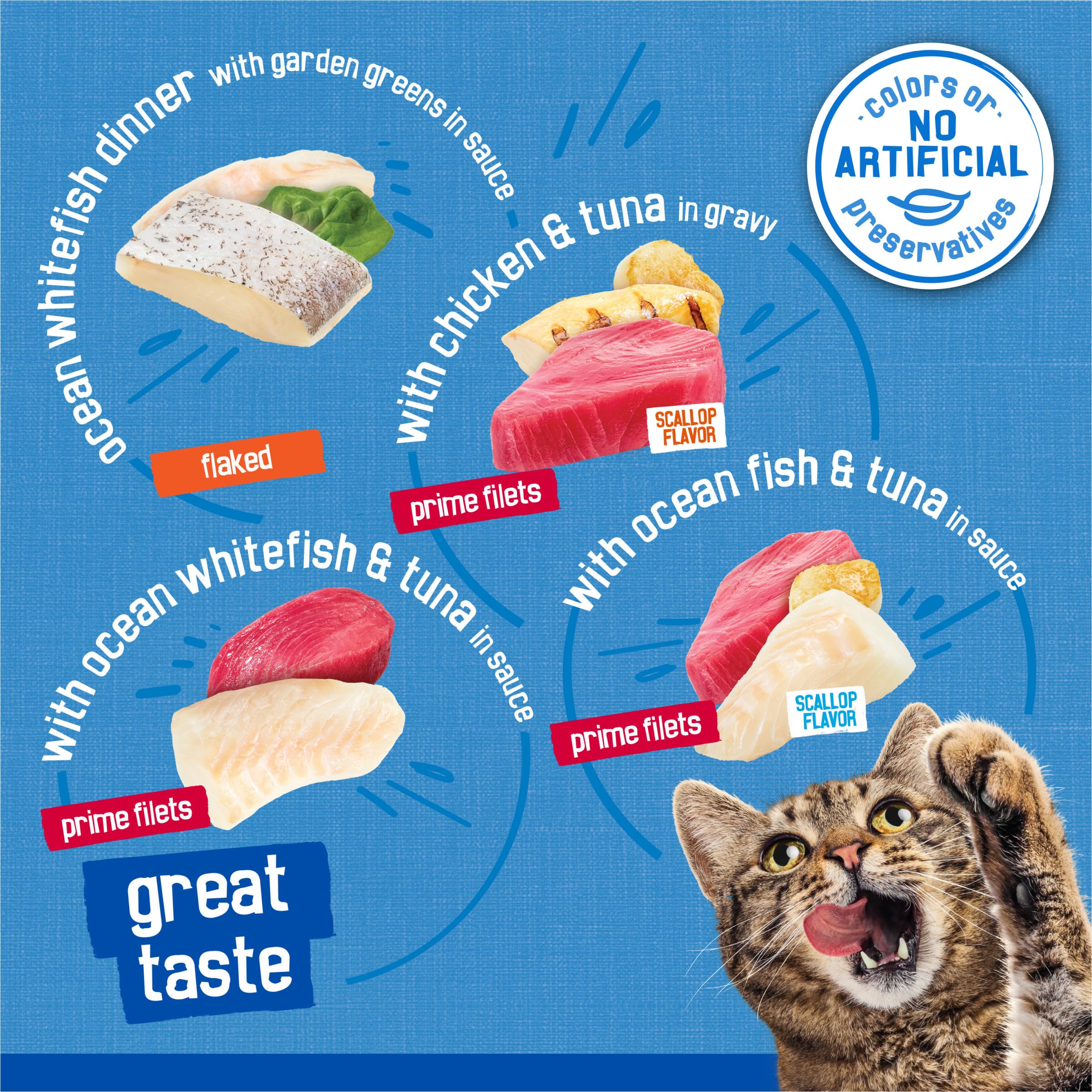 Friskies porción servida en plato, presentación atractiva para el gato