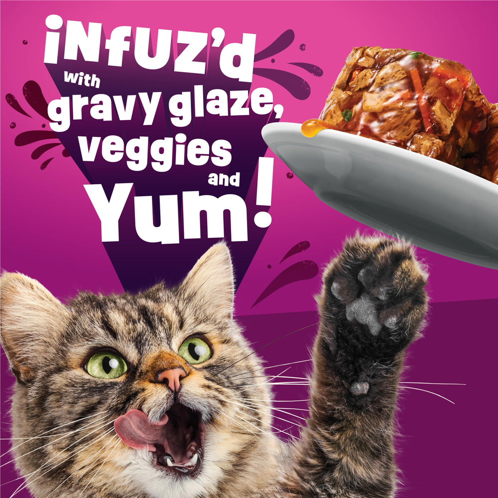 Friskies porción servida en plato para presentación de la comida