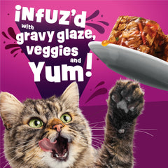 Friskies porción servida en plato para presentación de la comida