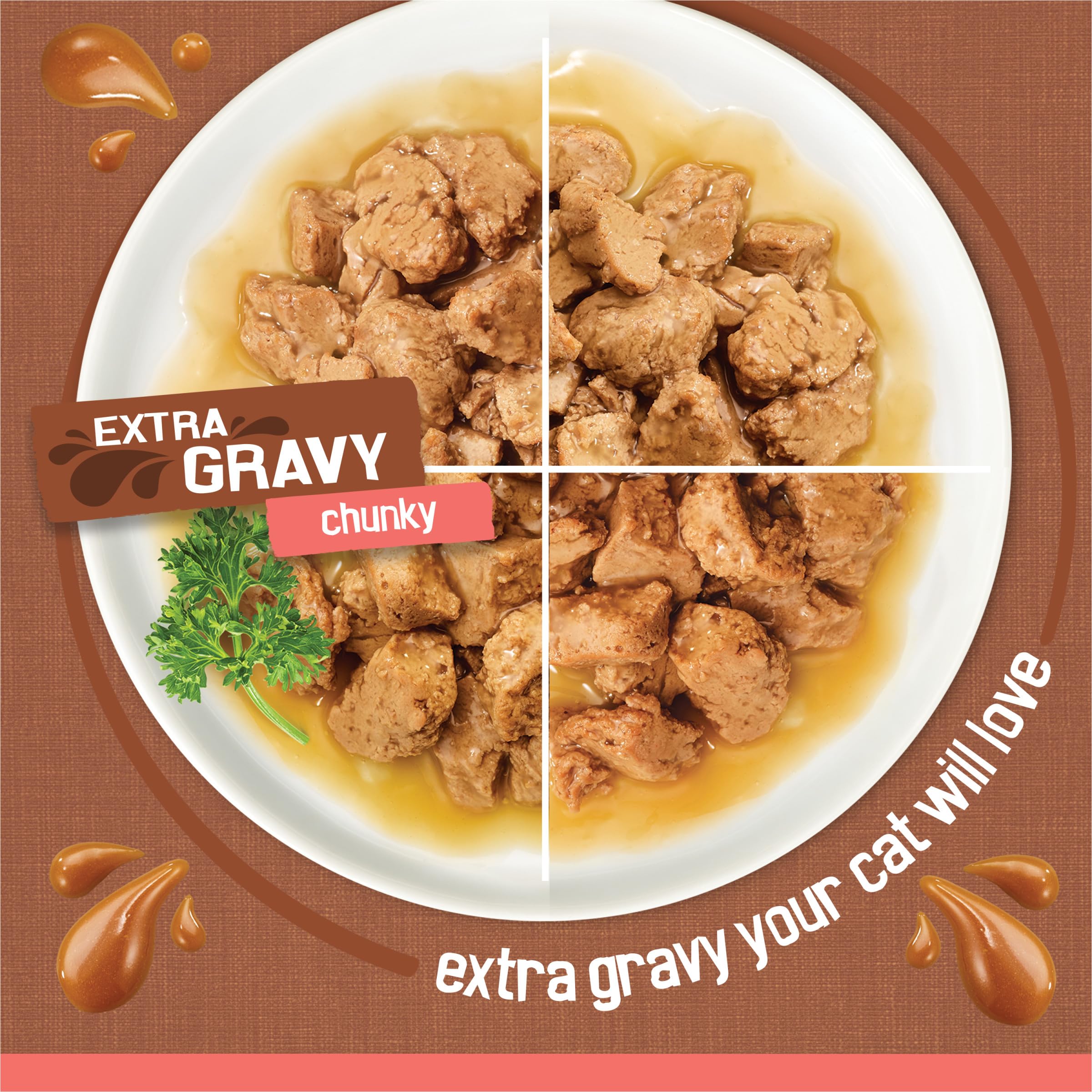 Friskies porción servida en plato que invita a comer