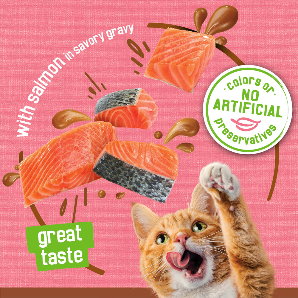 Friskies pouring gravy into bowl to highlight added moisture and flavor boost