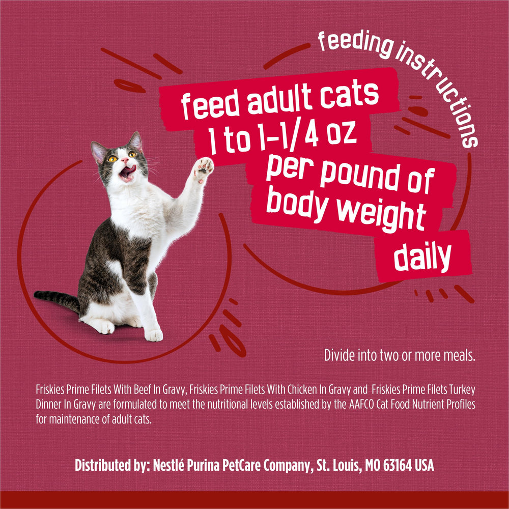 Friskies gato comiendo de plato, satisfecho con variedad de sabores