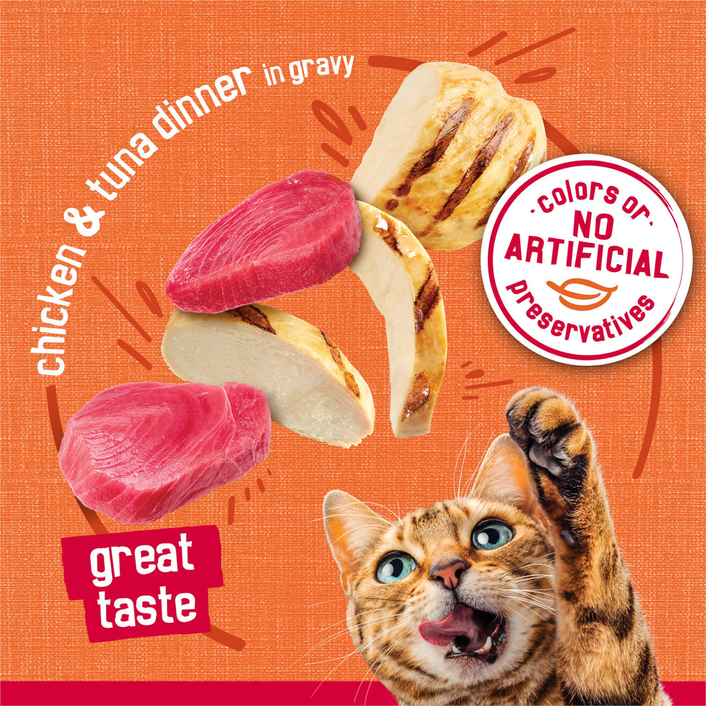 Friskies porción en plato que invita al gato a comer