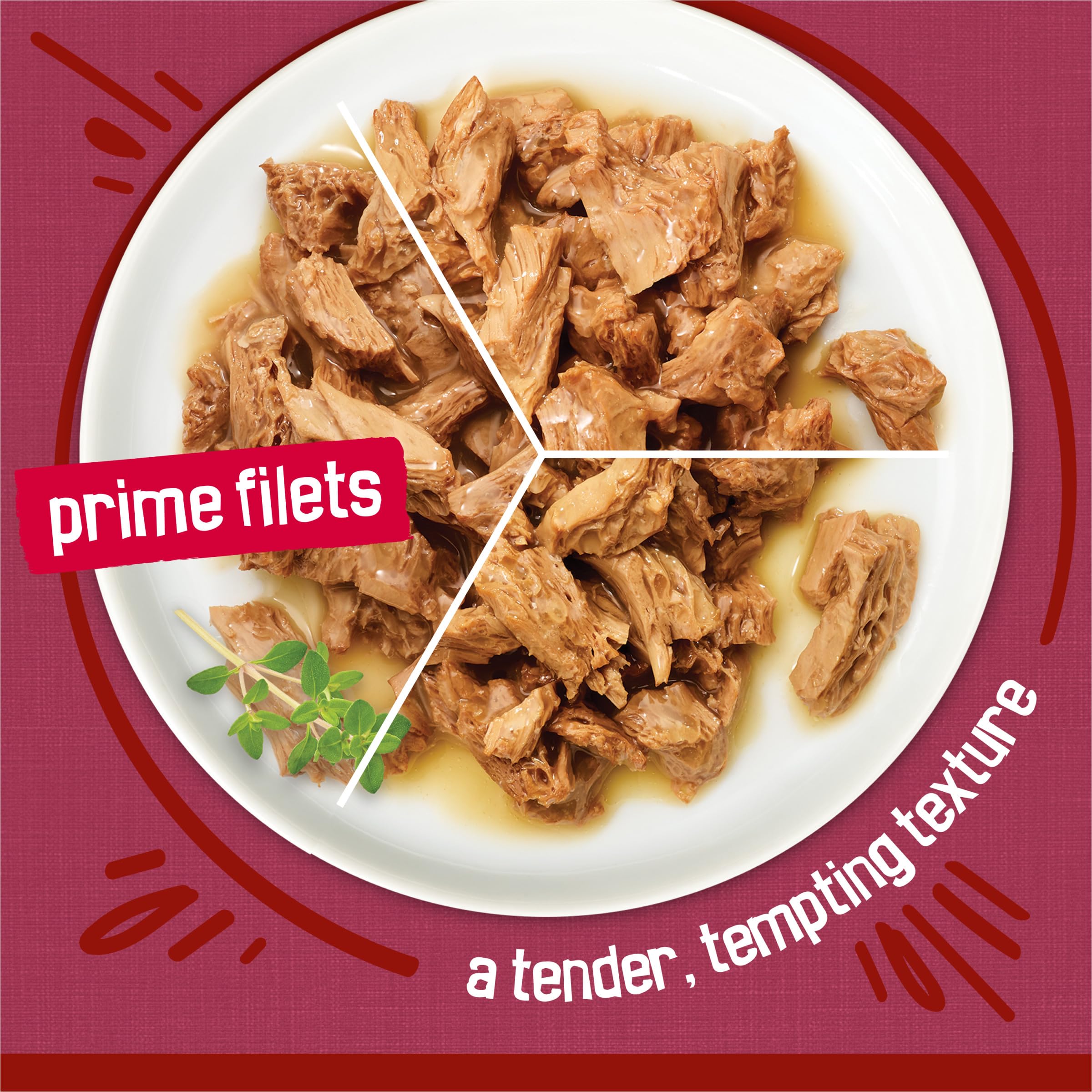 Friskies porción servida en plato, presentación lista para alimentar