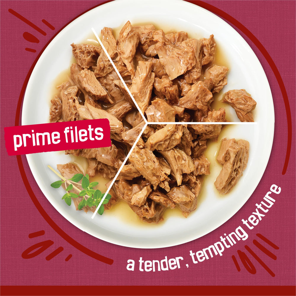 Friskies porción servida en plato, presentación lista para alimentar