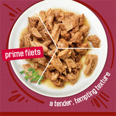 Friskies porción servida en plato, presentación lista para alimentar