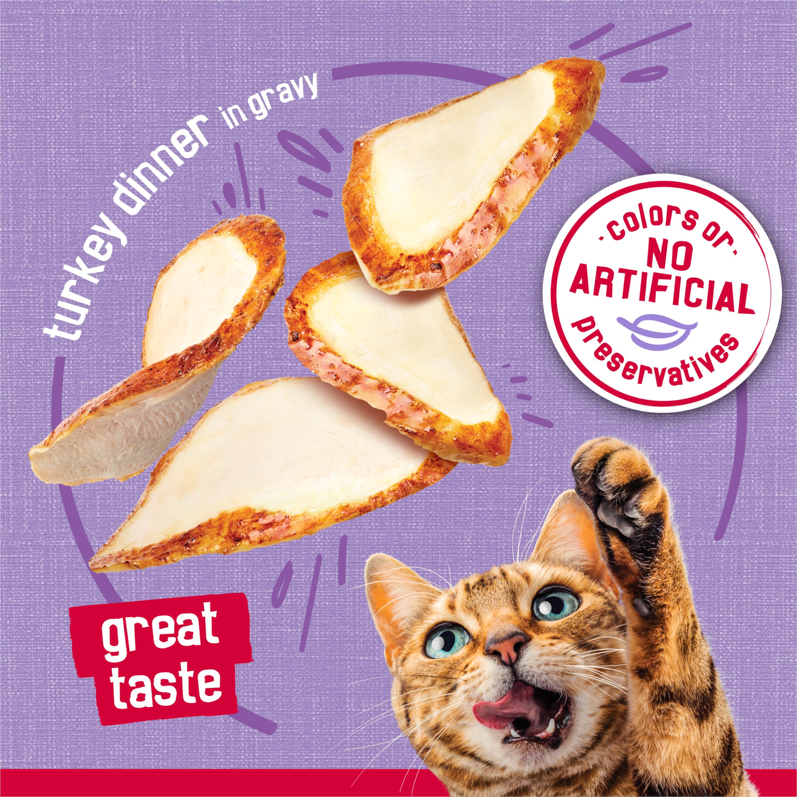 Friskies porción servida en plato mostrando presentación apetecible
