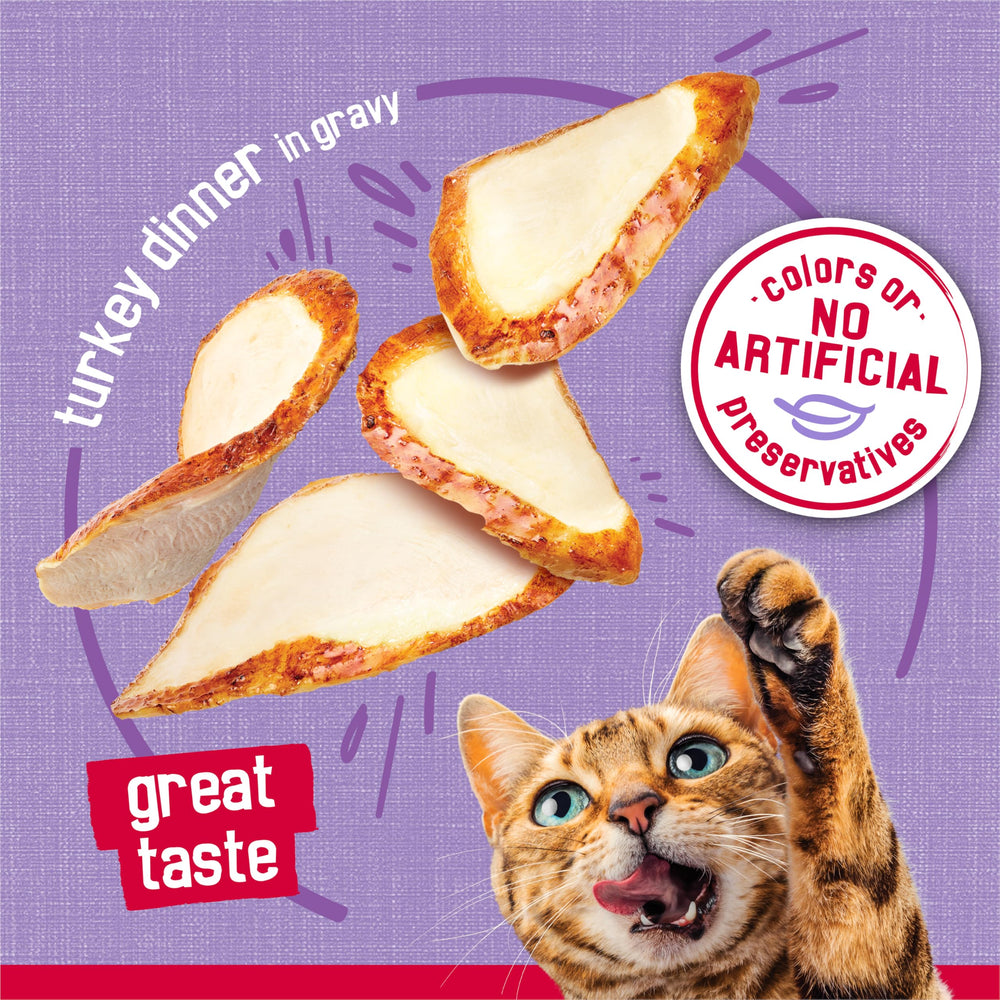 Friskies porción servida en plato mostrando presentación apetecible