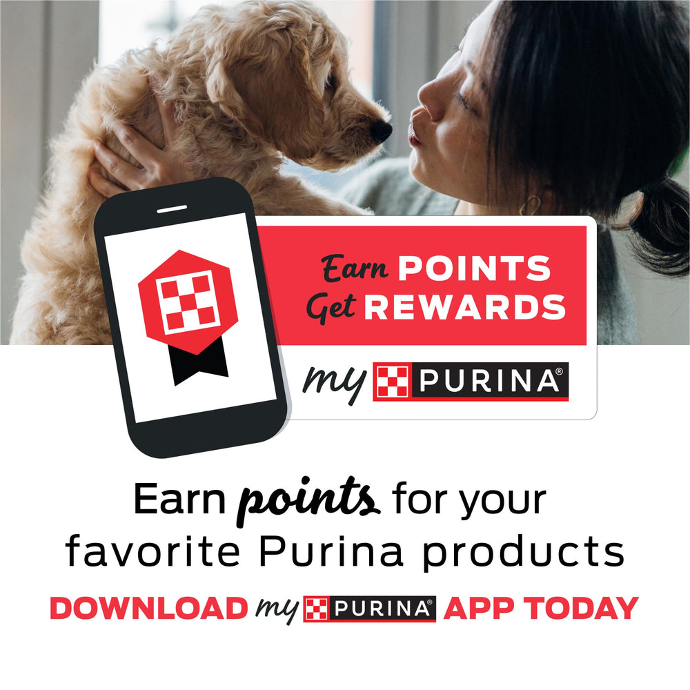 Friskies Purina pack de 24 latas para abastecimiento y conveniencia