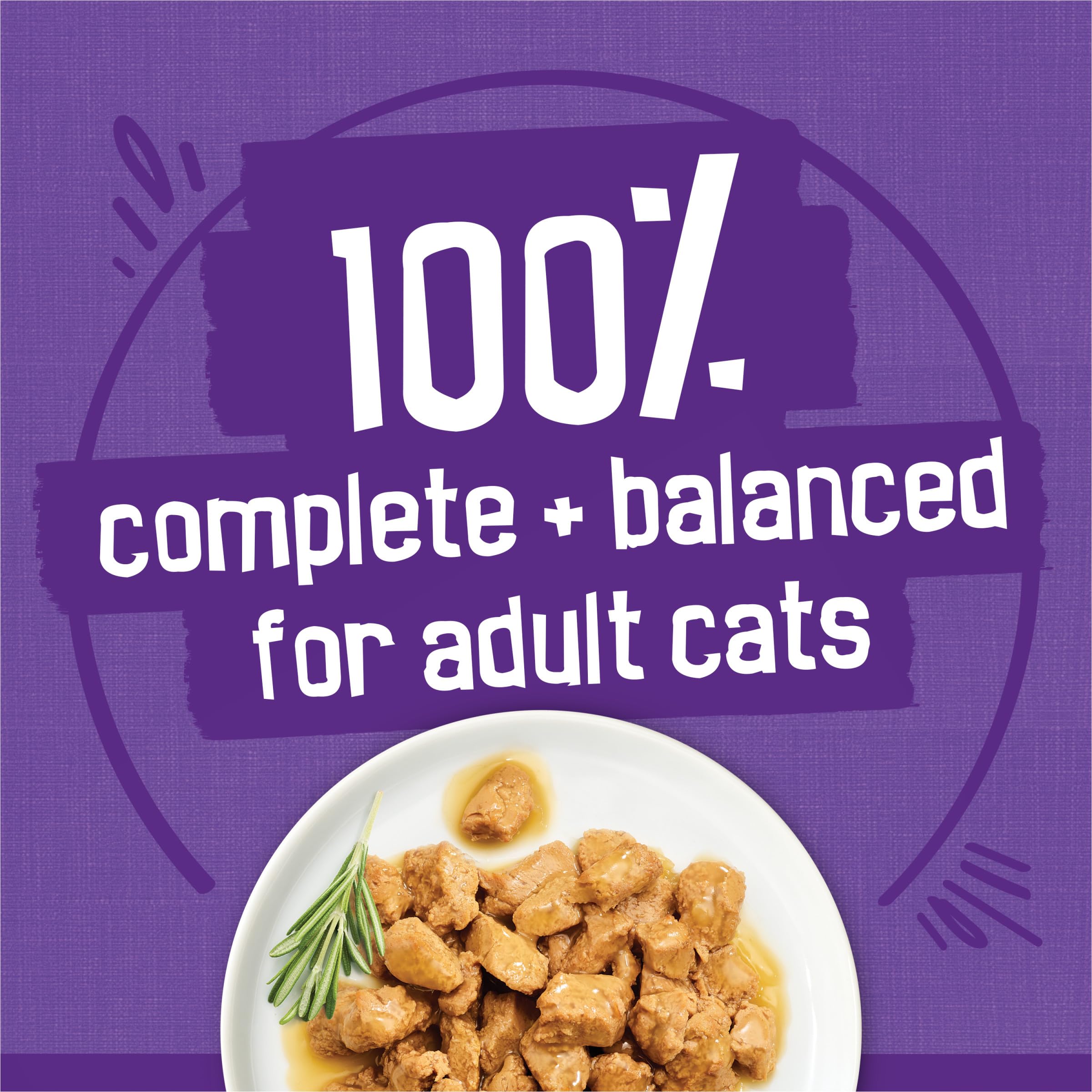 Friskies lata al lado de una mano para mostrar tamaño práctico