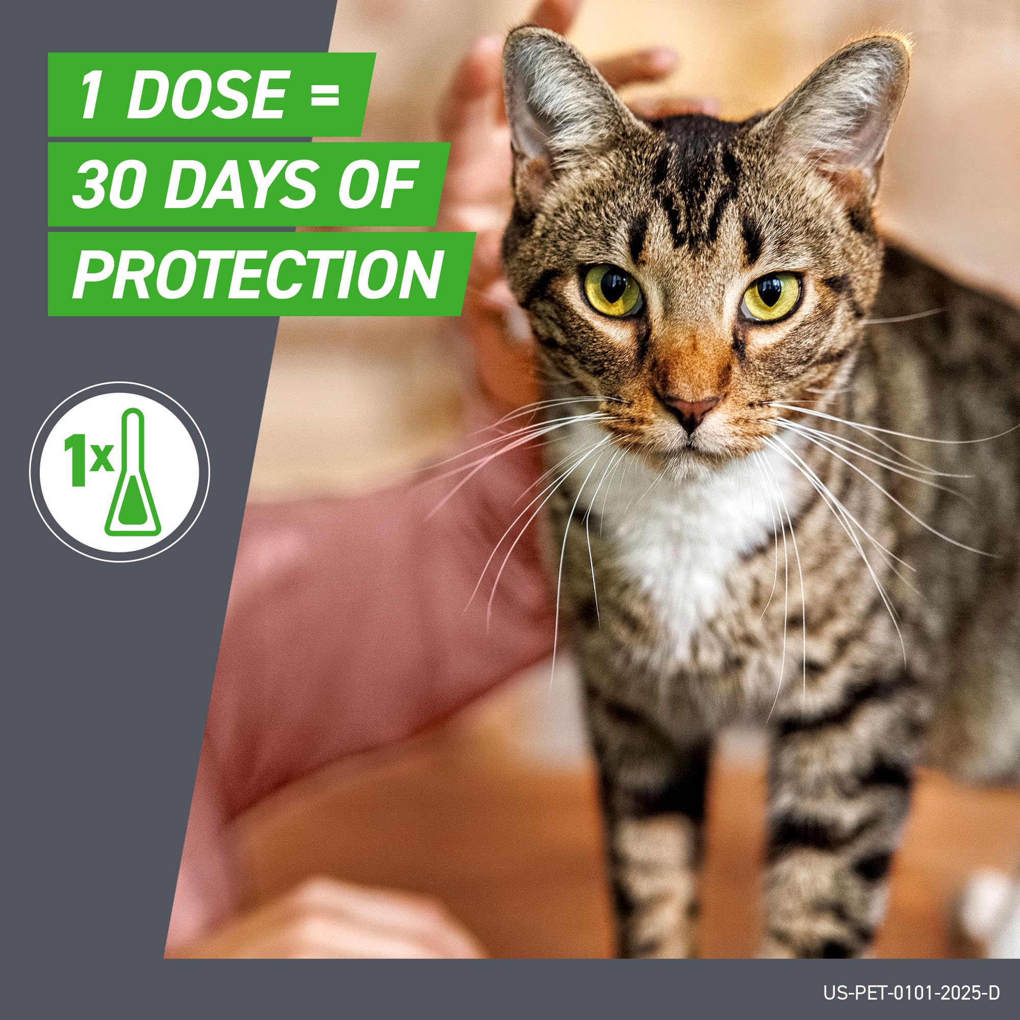 Comparación de tamaño con una mano para Frontline Plus, apto para gatitos pequeños