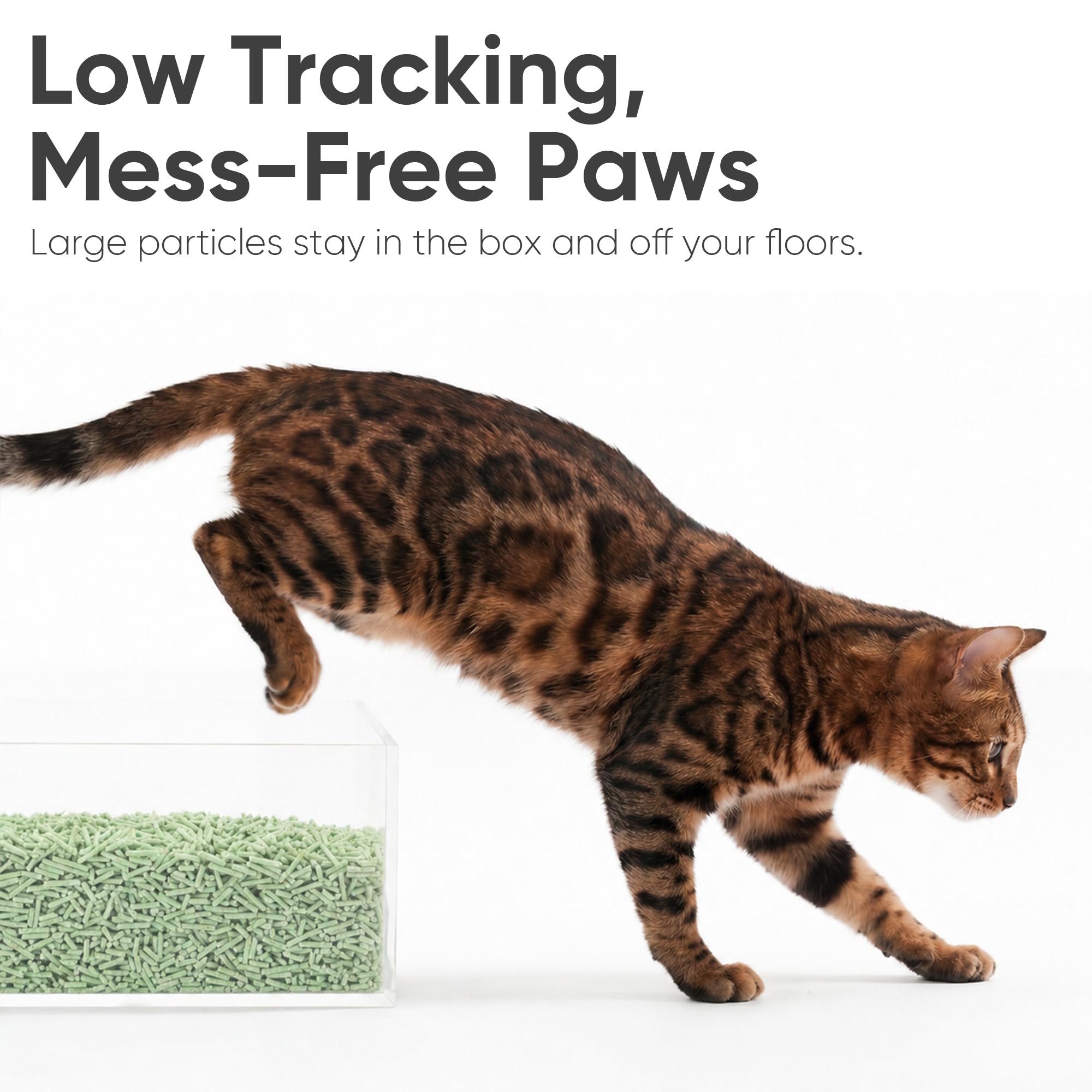 FUKUMARU litter in box setup demonstrating fresh box maintenance
