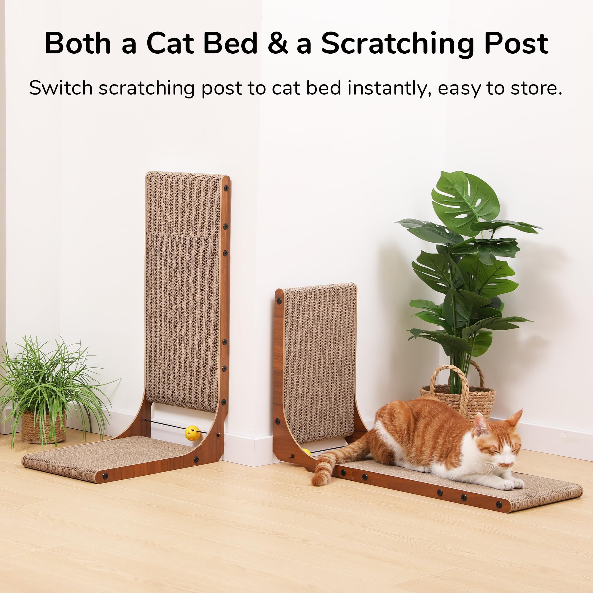 FUKUMARU comparación de tamaño junto a una silla, visualiza escala real
