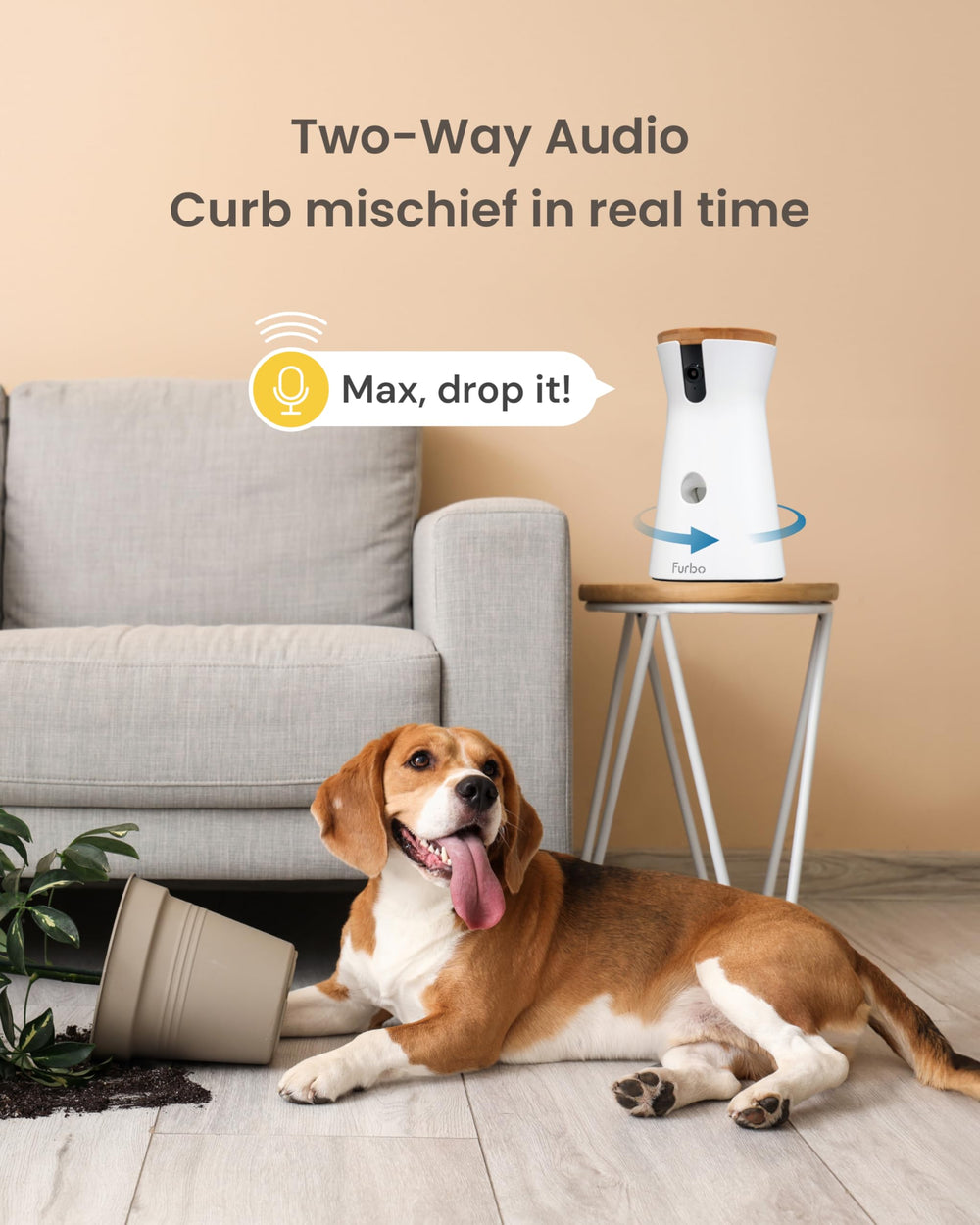 Furbo en uso con móvil mostrando app, control desde cualquier lugar