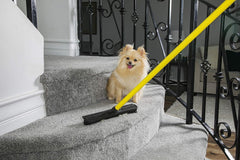 FURemover in use on carpet lifting embedded pet fur for faster cleanup