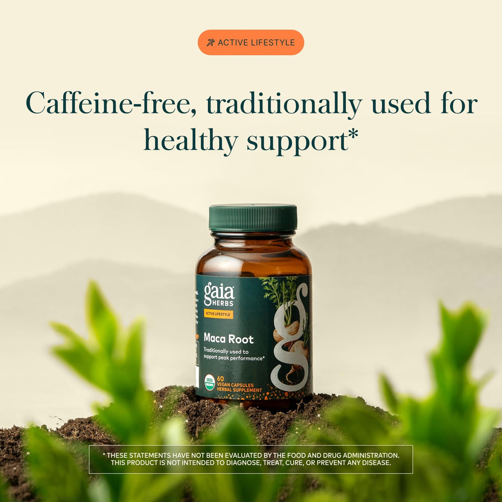 Gaia Herbs polvo de maca gelatinizada mostrando textura fina y pura