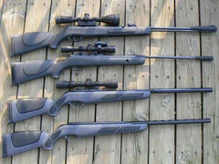 Gamo Varmint visor 4x32 montado listo para uso en campo