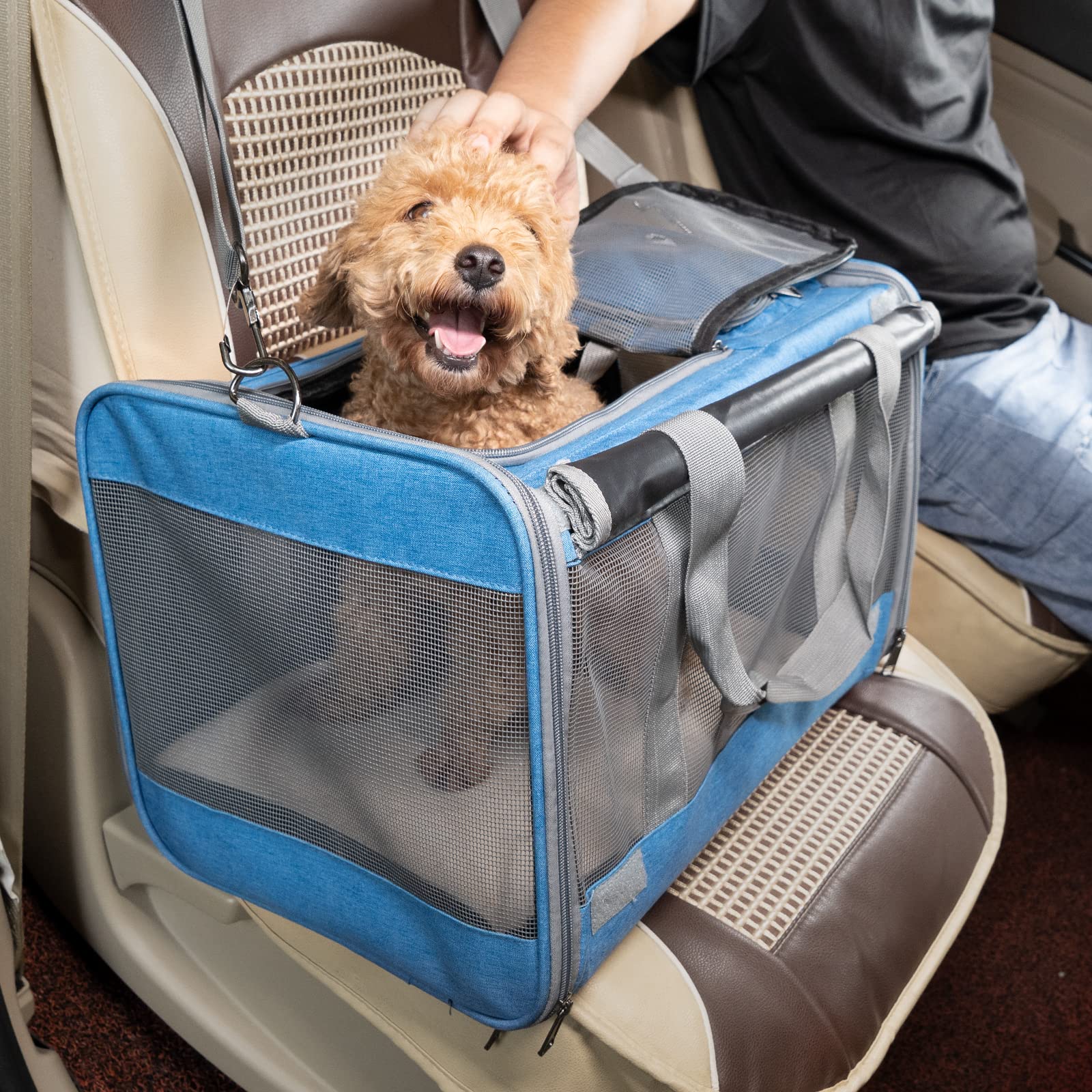 GAPZER comparación de tamaño con una mascota para mostrar capacidad y ajuste ideal