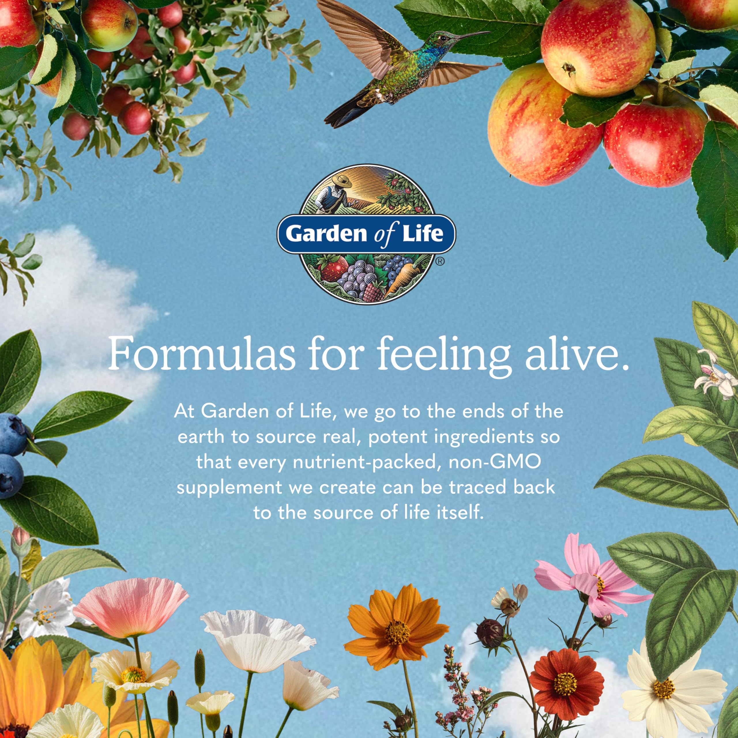 Garden of Life comparación de tamaño con objetos comunes para referencia visual