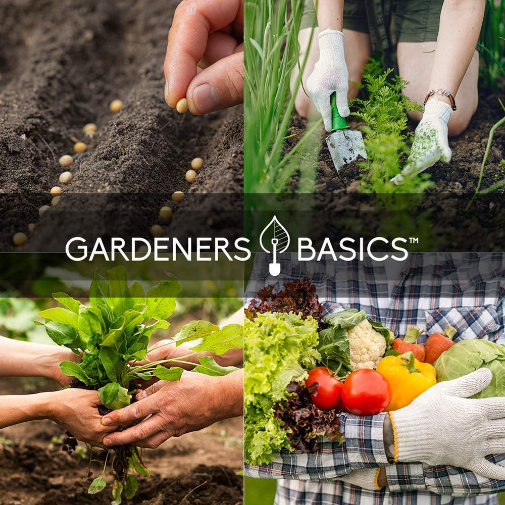 Gardeners Basics persona plantando en maceta demostrando adaptación urbana