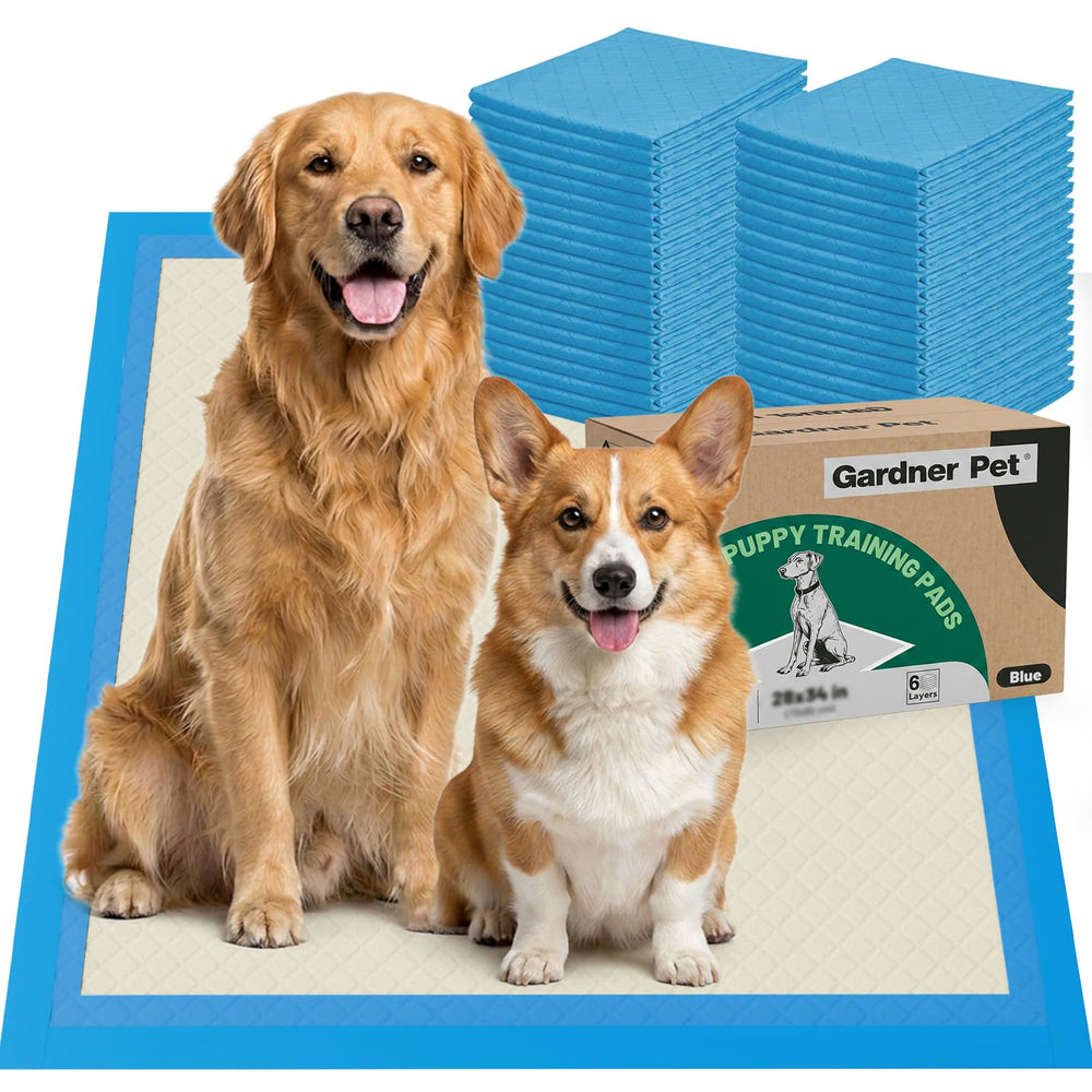 Gardner Pet empaque frontal mostrando tamaño XL y protección