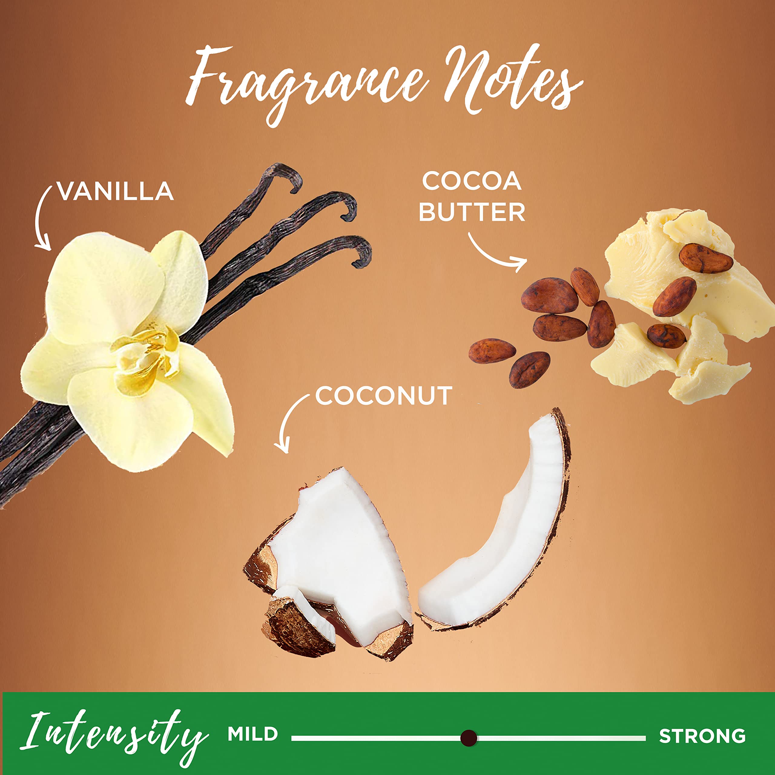 Garnier Whole Blends comparación de tamaño 44 fl oz para valorar duración