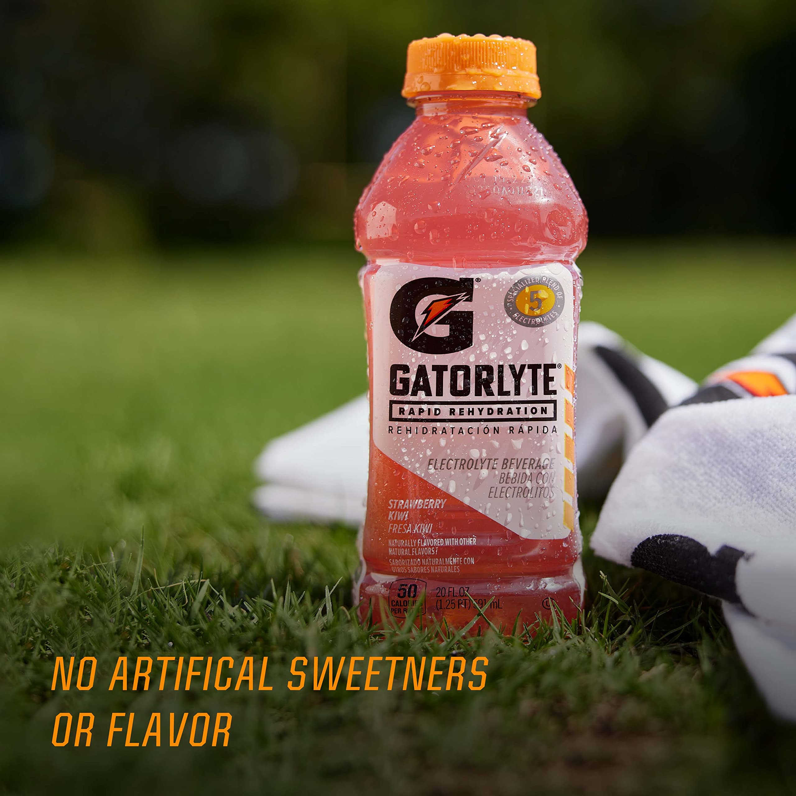 Gatorlyte etiqueta con lista de electrolitos destacando sodio potasio magnesio