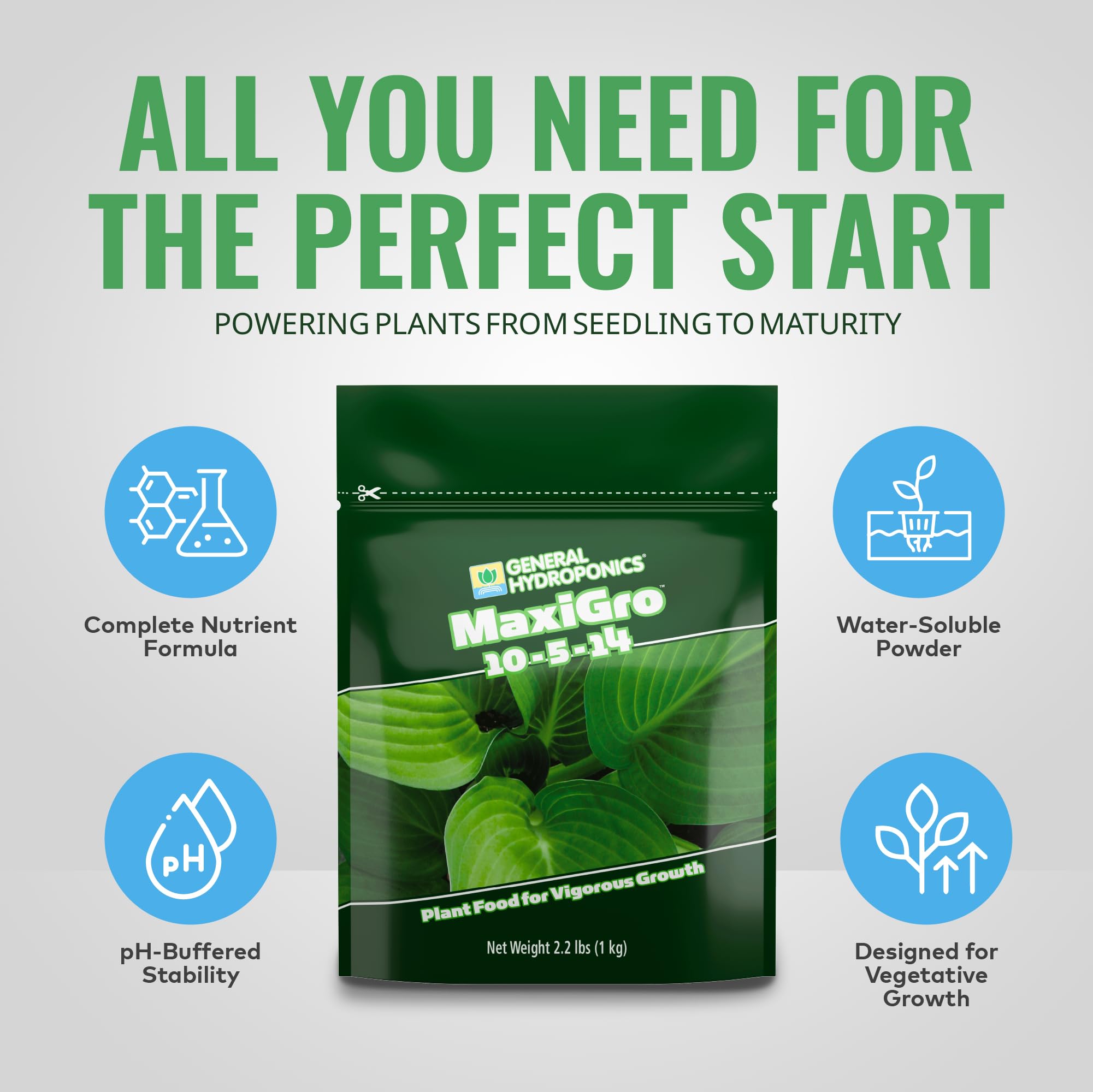 General Hydroponics MaxiGro disolviéndose en agua para preparar solución nutritiva