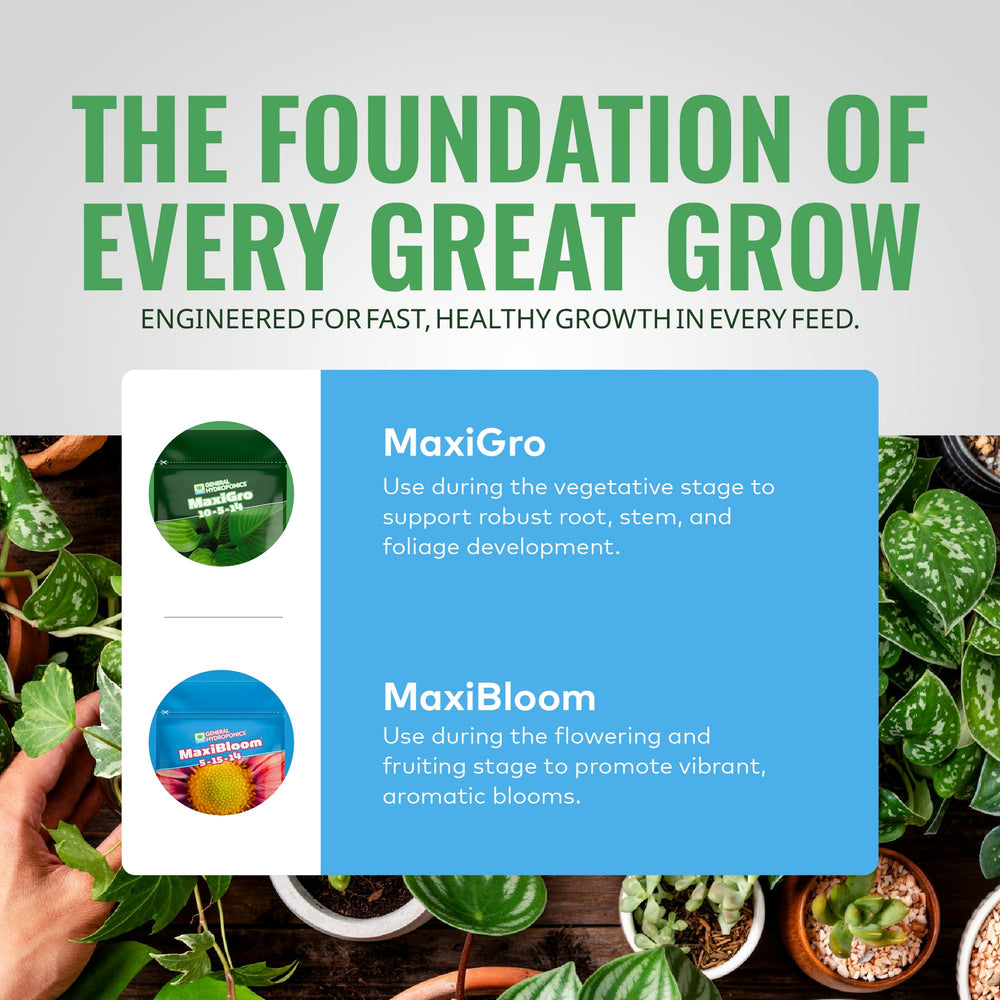 General Hydroponics MaxiGro aplicado en sistema hidropónico NFT para crecimiento vigoroso