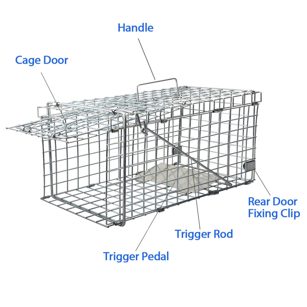 Gingbau galvanized mesh close-up showing chew-resistant metal for durability