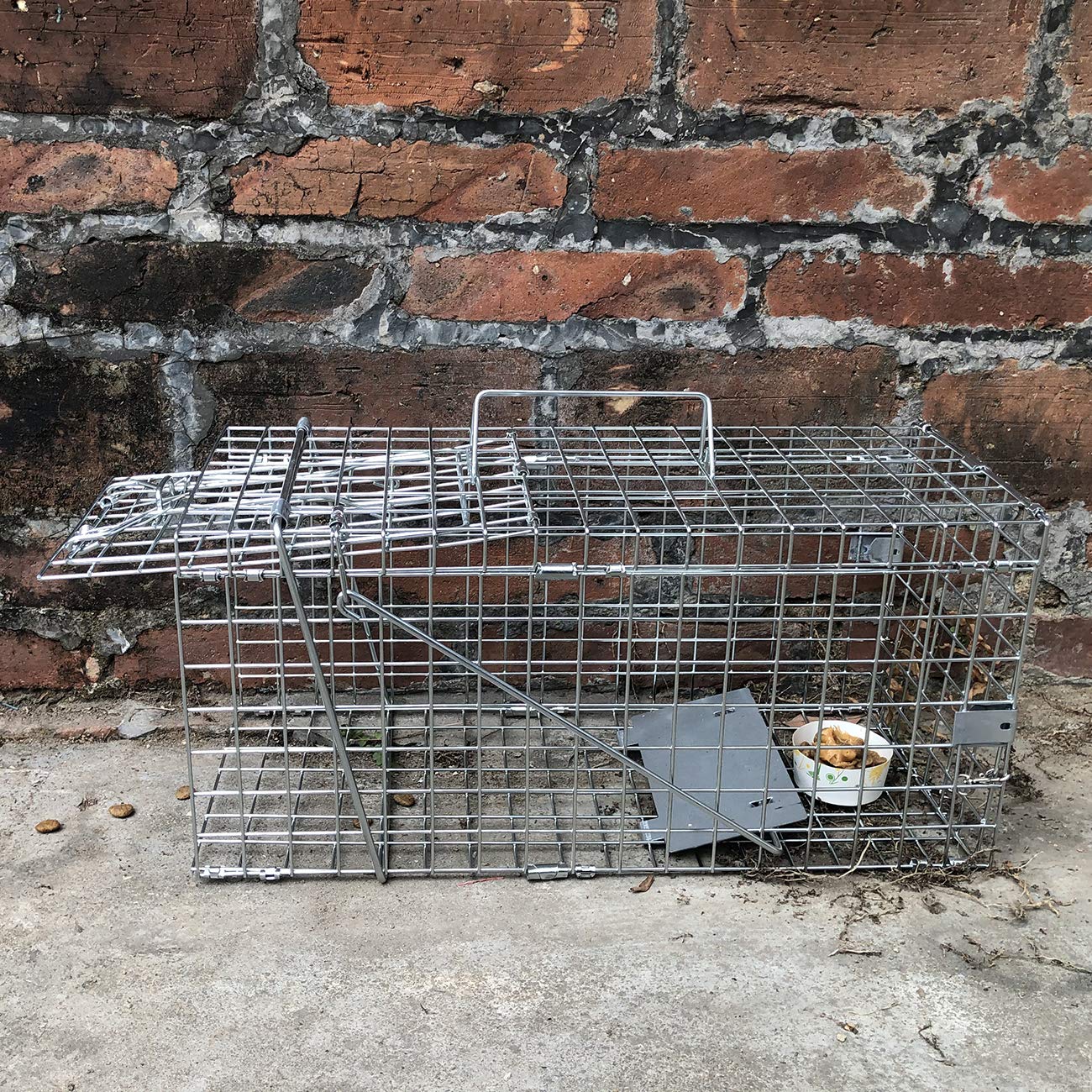 Gingbau cage next to a hand showing size and portability for field use