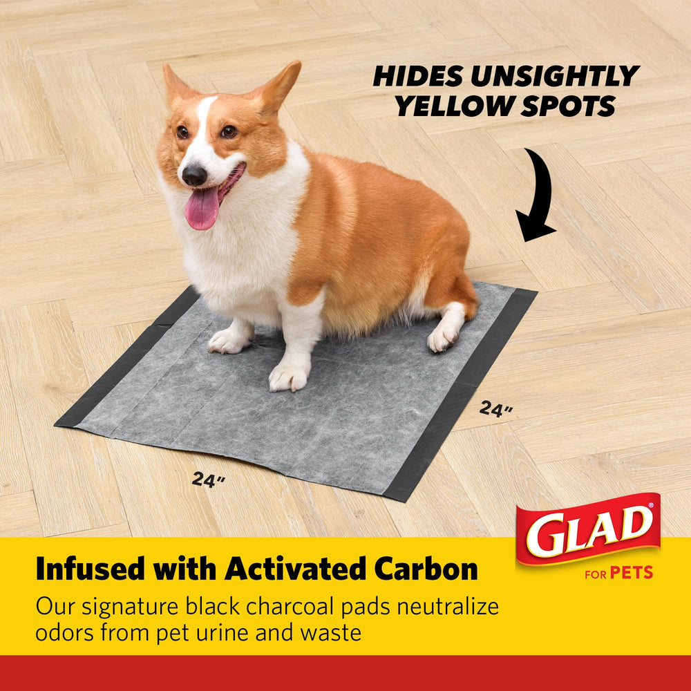 Glad almohadilla dentro de jaula con perro mostrando limpieza fácil