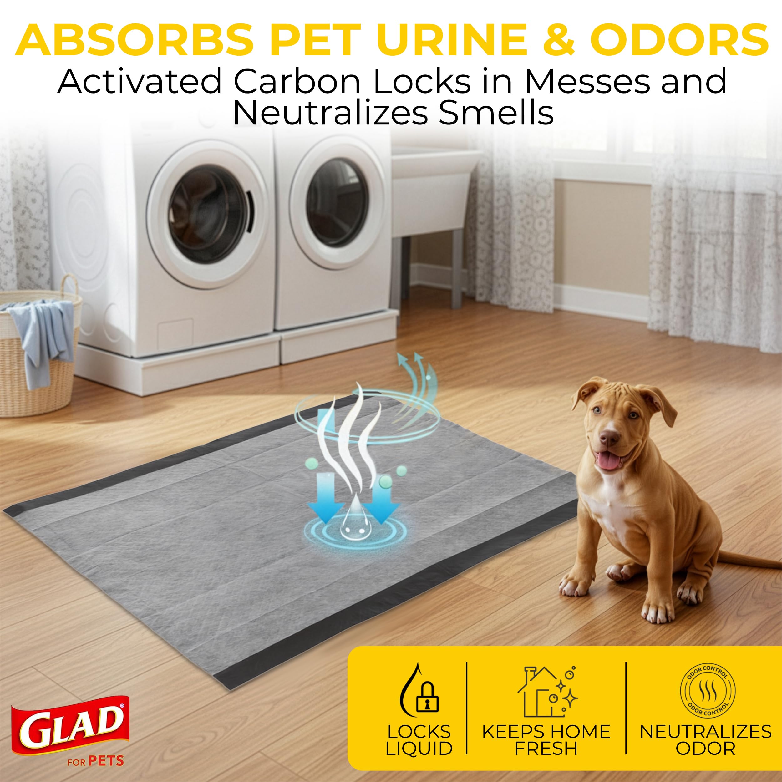 Glad perro grande usando la almohadilla sobre el suelo para control de accidentes