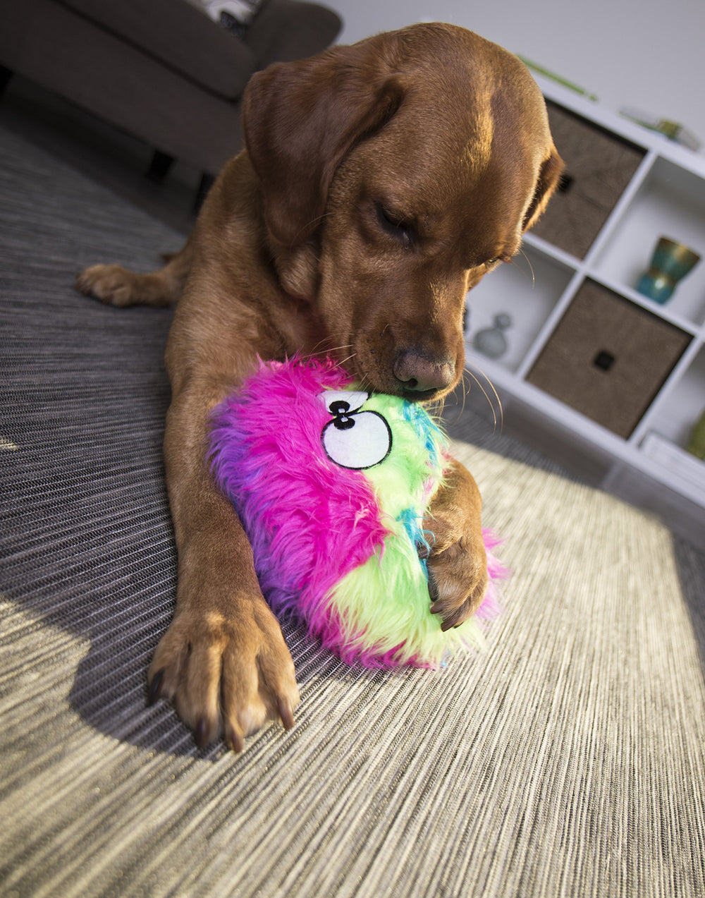 goDog ojos googly del Furballz que aumentan el interés y la interacción del perro