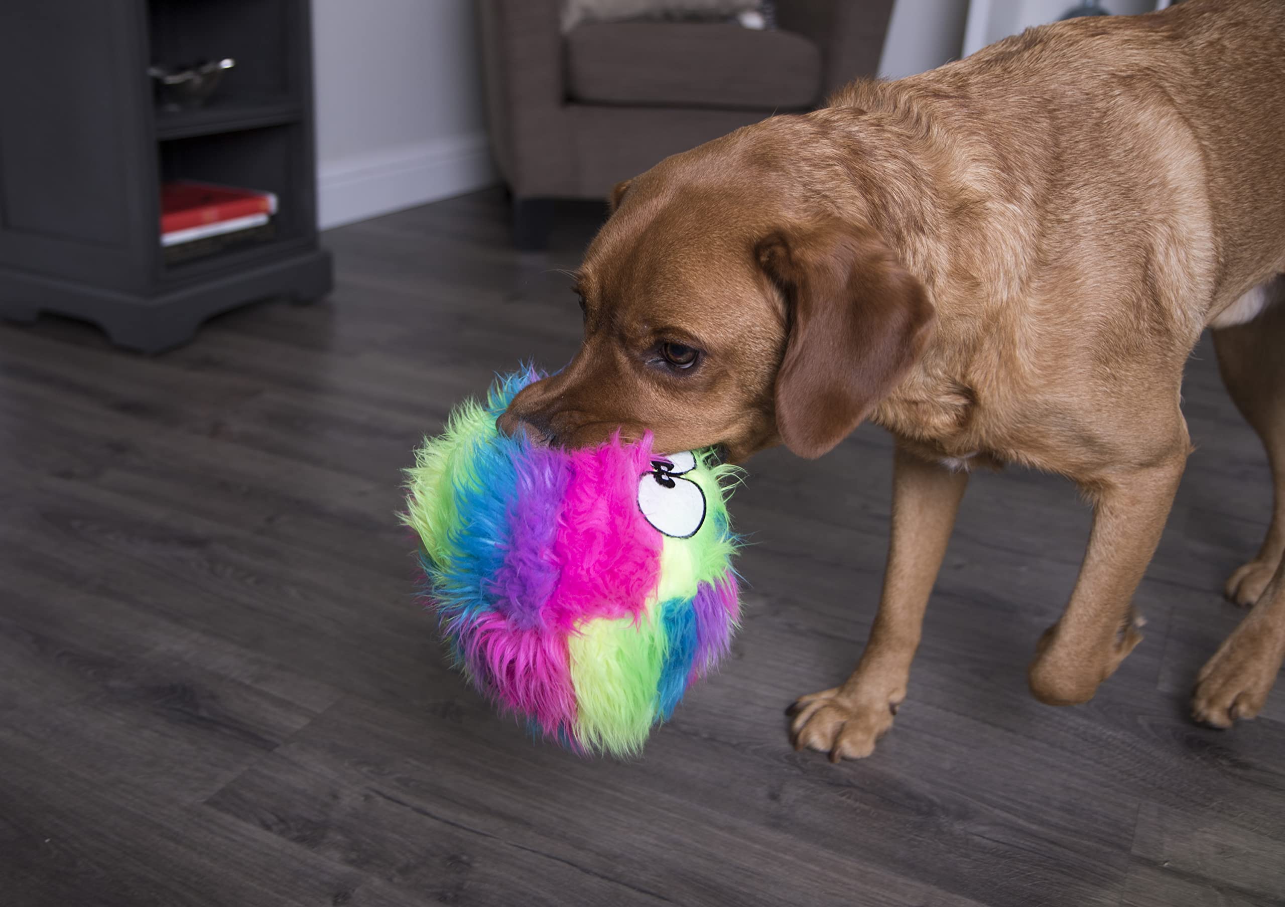 goDog comparación de tamaño Large del Furballz junto a una mano para escala clara