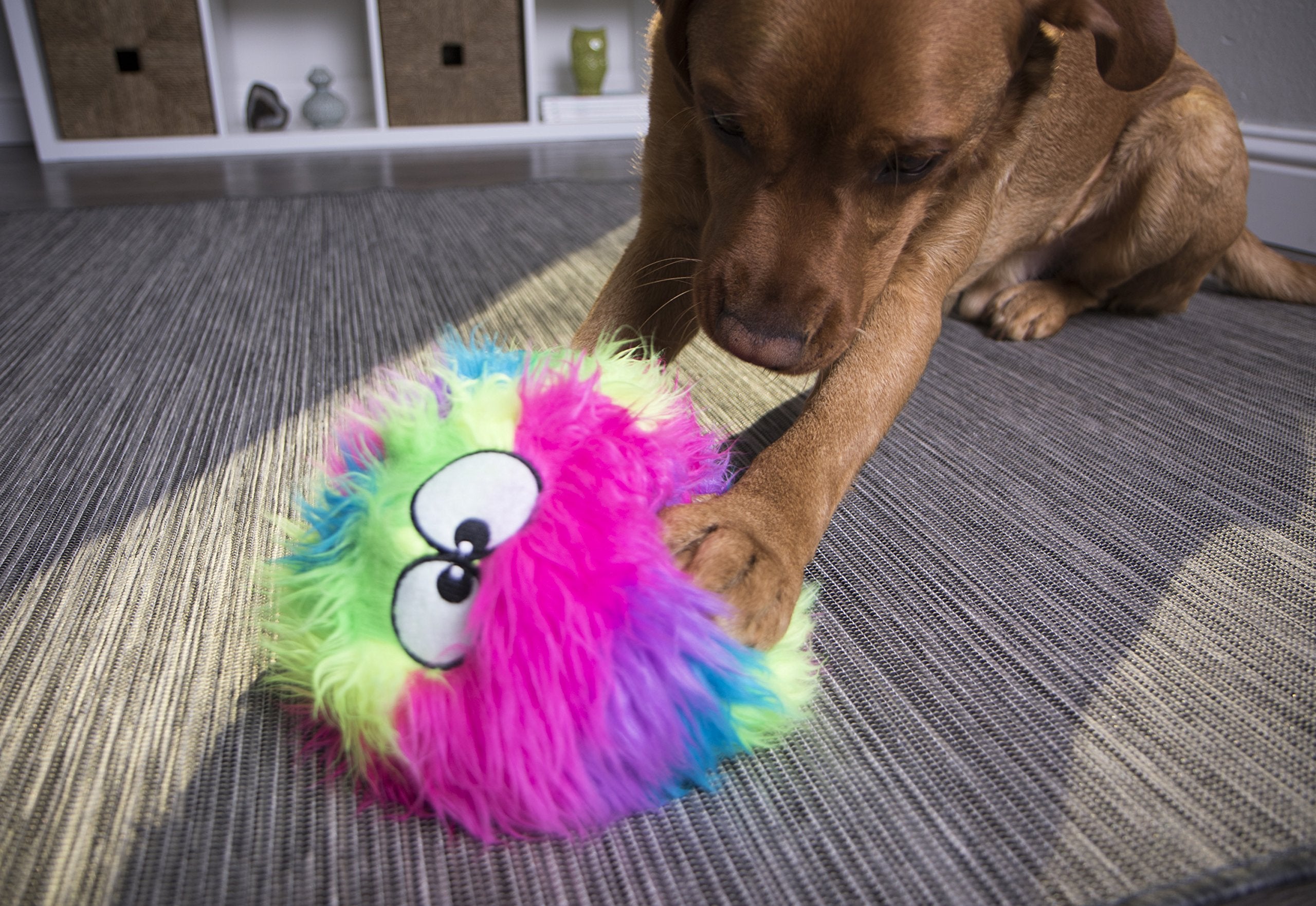 goDog Furballz en sala de estar demostrando juego interior seguro y divertido
